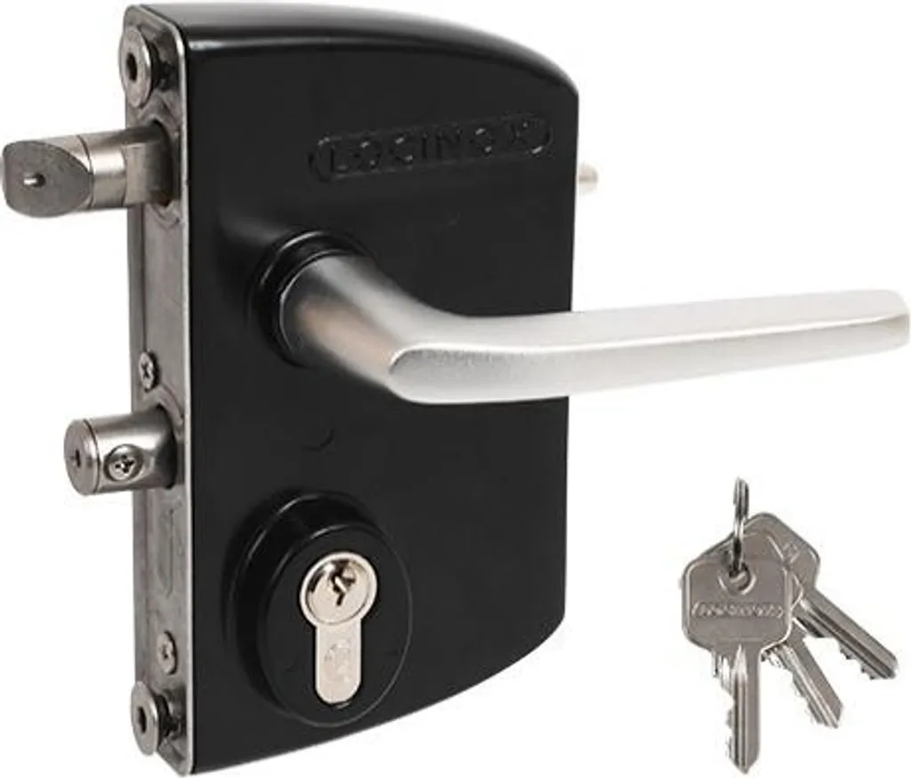 Serrure de Portillon Locinox LAKQ Noire pour Cadre de 10 mm de Largeur