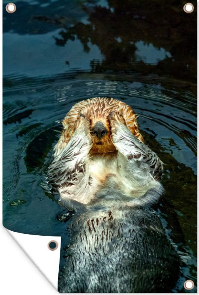 MuchoWow 40x60 cm Outdoor-Poster Gartendeko Sichtschutz Garten Poster für den Garten Europäischer Fischotter bedeckt seine Augen