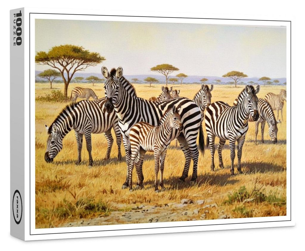 raxxa Premium-Puzzle "Zebraherde mit Jungtier in Afrika", 1000 Teile