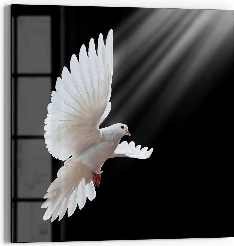 DEQORI Magnettafel Glas 30x30 cm 'Friedensbote' beschreibbar Whiteboard Pinnwand Küche