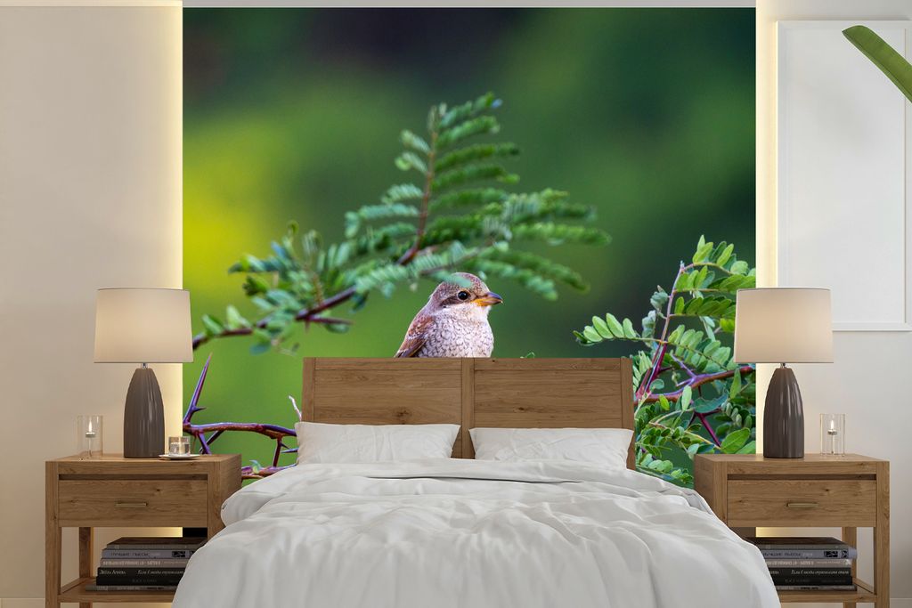 MuchoWow Fototapete für Wohnzimmer oder Schlafzimmer Wandtapete Vinyl Motivtapete Vogel - Baum - Wald - 300x300 cm - Wanddekoration