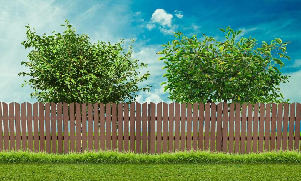 A wooden fence in a backyard with trees and a blue sky.