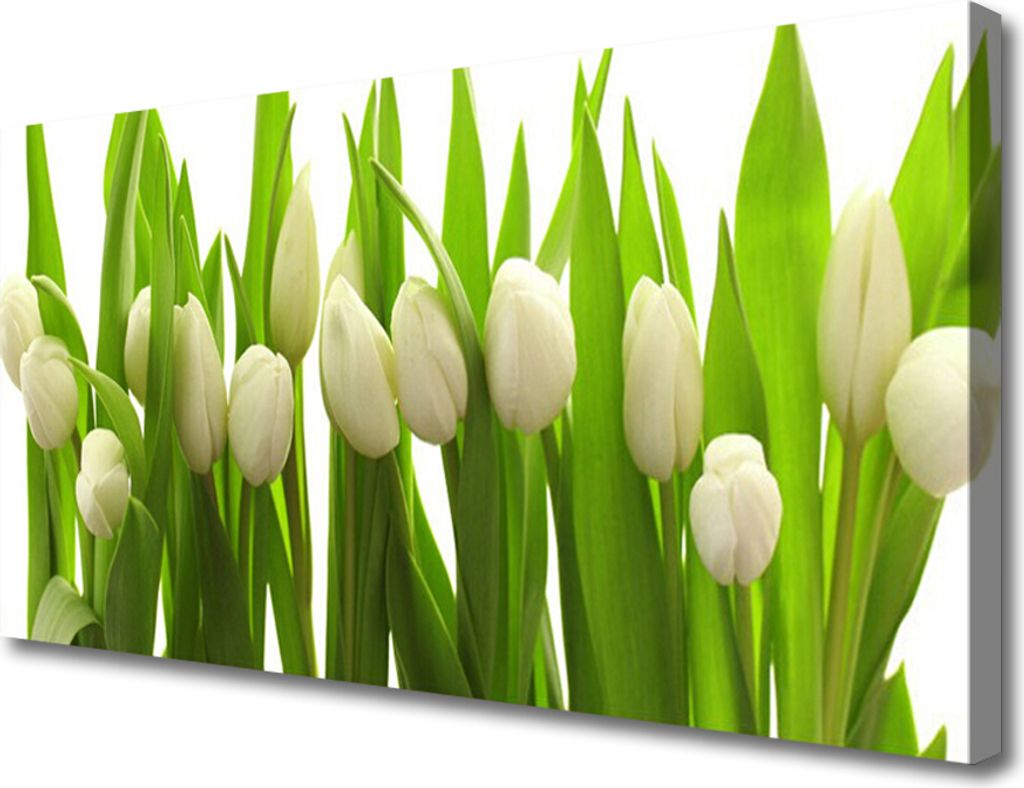 Tulup Leinwand-Bilder 100x50 Wandbild Canvas Kunstdruck Tulpen Pflanzen