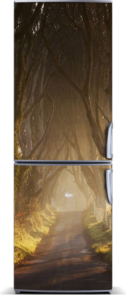 Tulup Kühlschrankdekoration - Magnetmatte - 70 cm x 190 cm - Magnet auf dem Kühlschrank - Der Weg In Den Wald