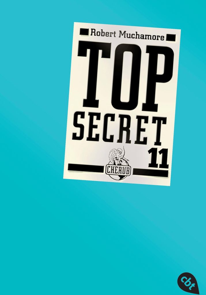 Top Secret 11. Die Rache