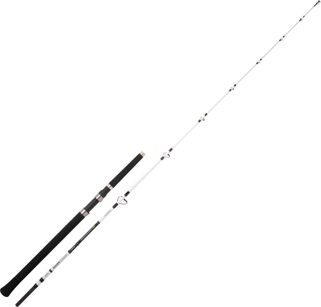 Spro Steckrute Salty Beast Nano Mega Jig Spin Länge 2,10m Wurfgewicht -450g