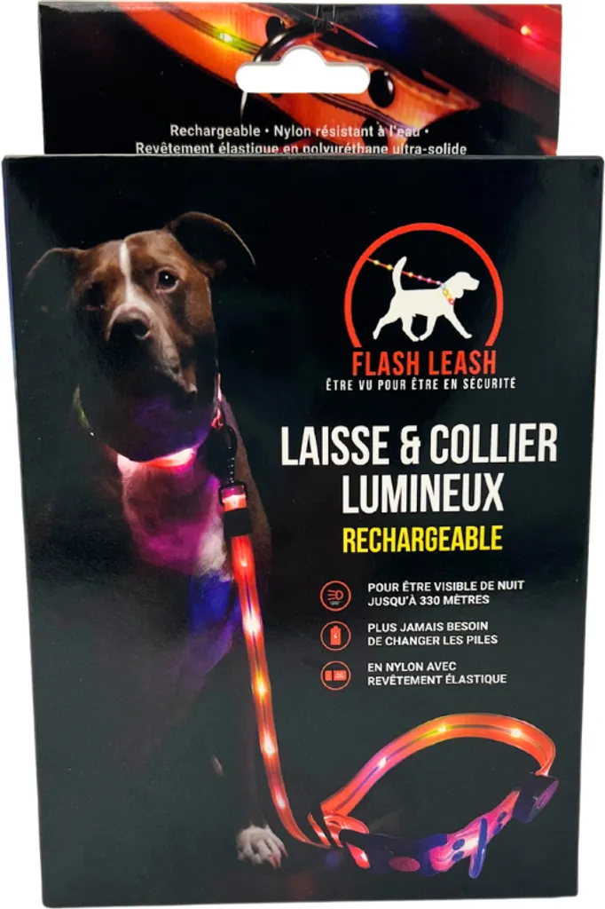 Laisse et collier lumineux chien pour sorties nocturnes en ville et forêt