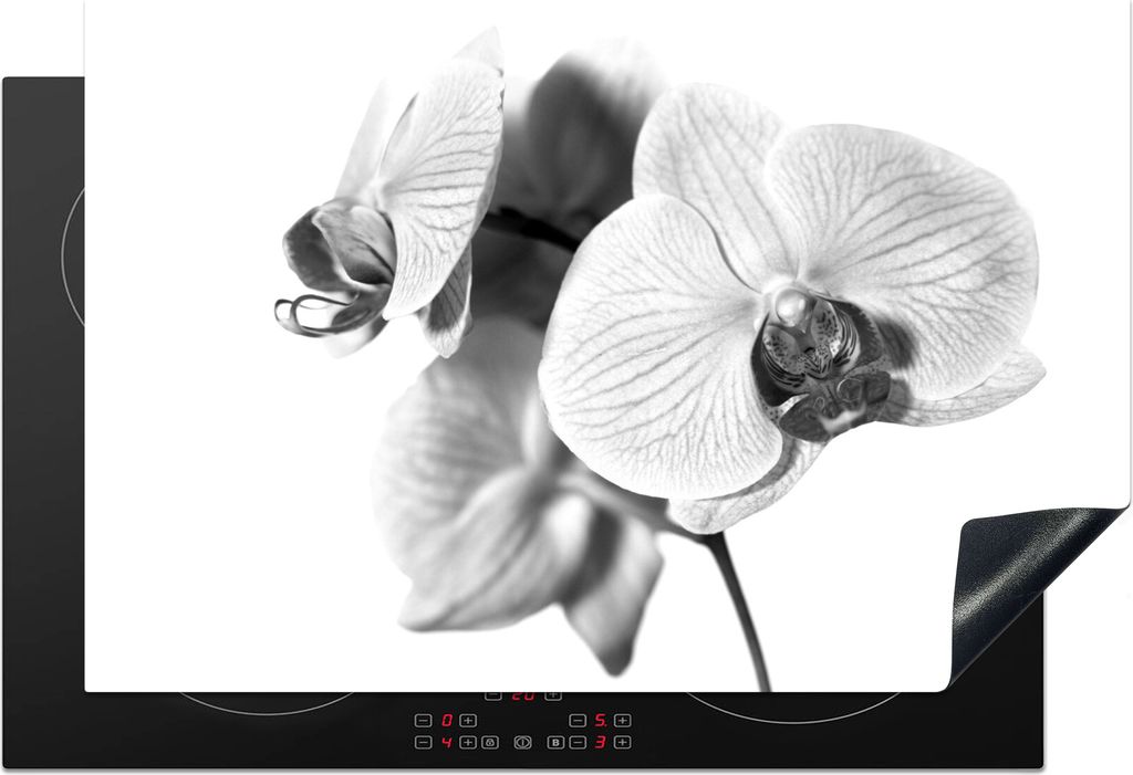 KitchenYeah Herdabdeckplatte Orchideenblüte vor weißem Hintergrund - schwarz und weiß , 78x52cm, Küche Deko, Ceranfeld Herdabdeckung, Abdeckp...