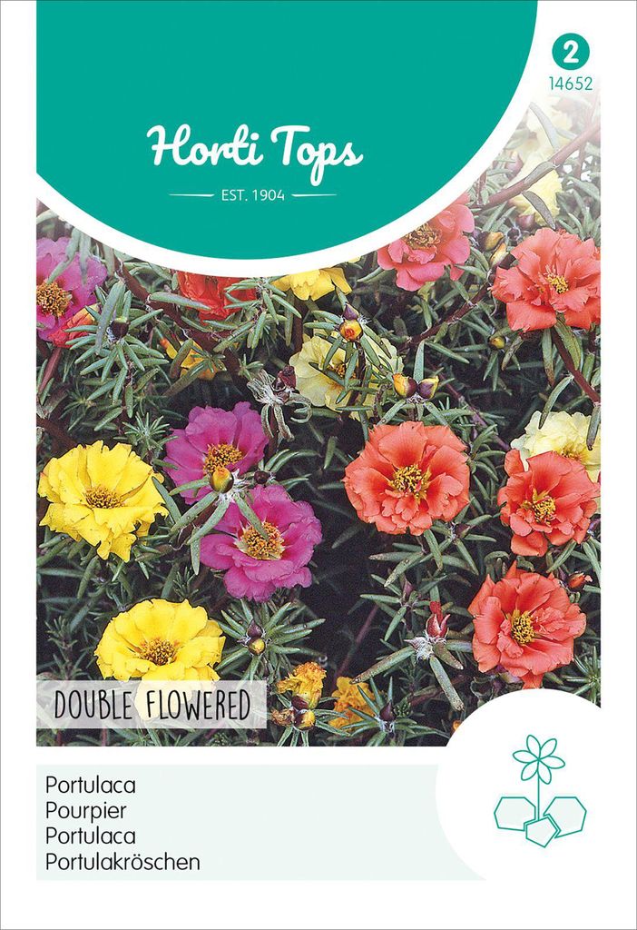 Artikelbild 2 von 'Portulakröschen Gefüllte  Mischung' aus der Kategorie Blumensamen