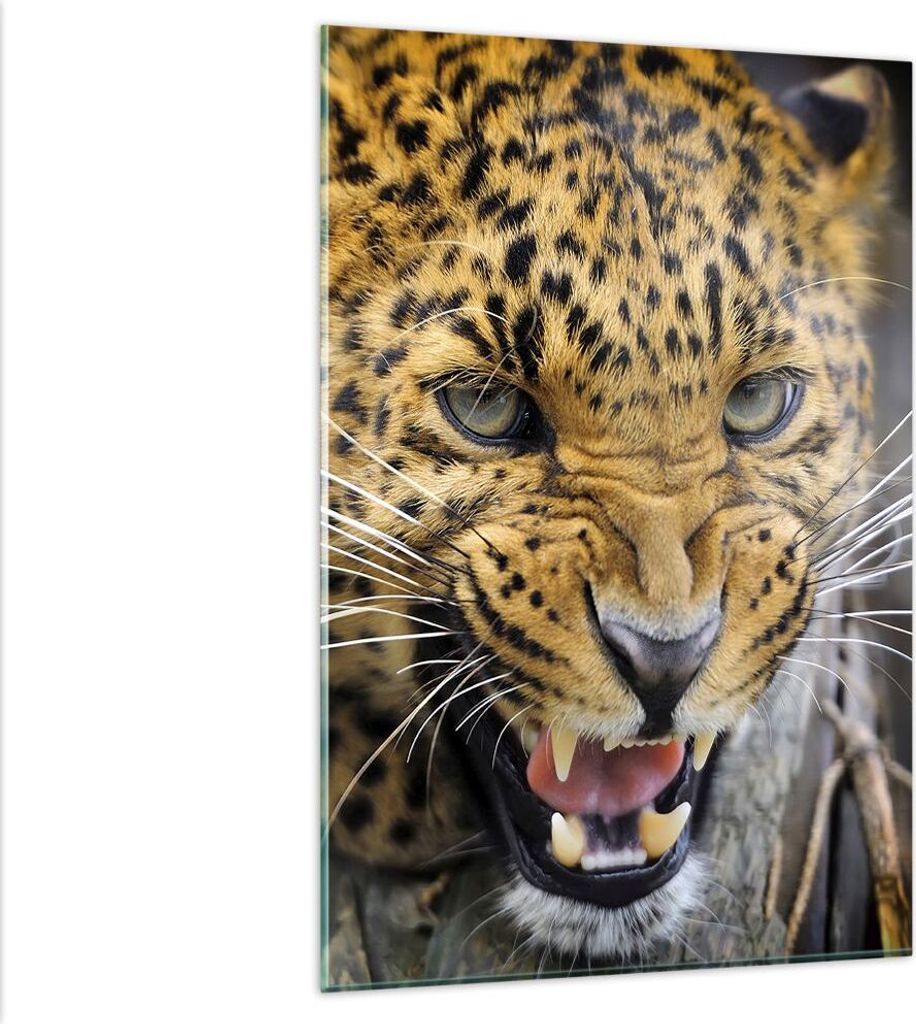 Bilder auf glas - Einteilig - Leopard tier savanne afrika - 80x120cm - Glasbilder - Wandbilder - Bilder - Wanddekoration aus Glas - Glas Bilder - W...