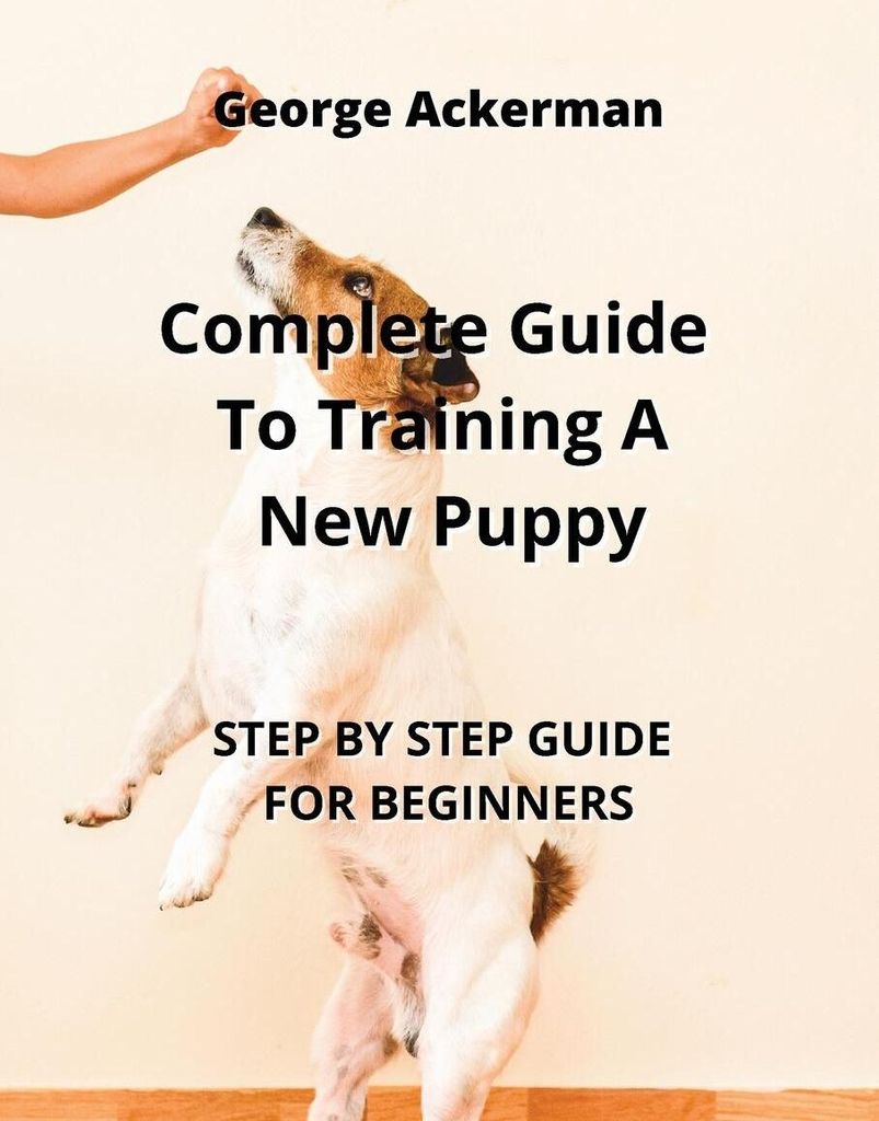 Complete Guide To Training A New Puppy