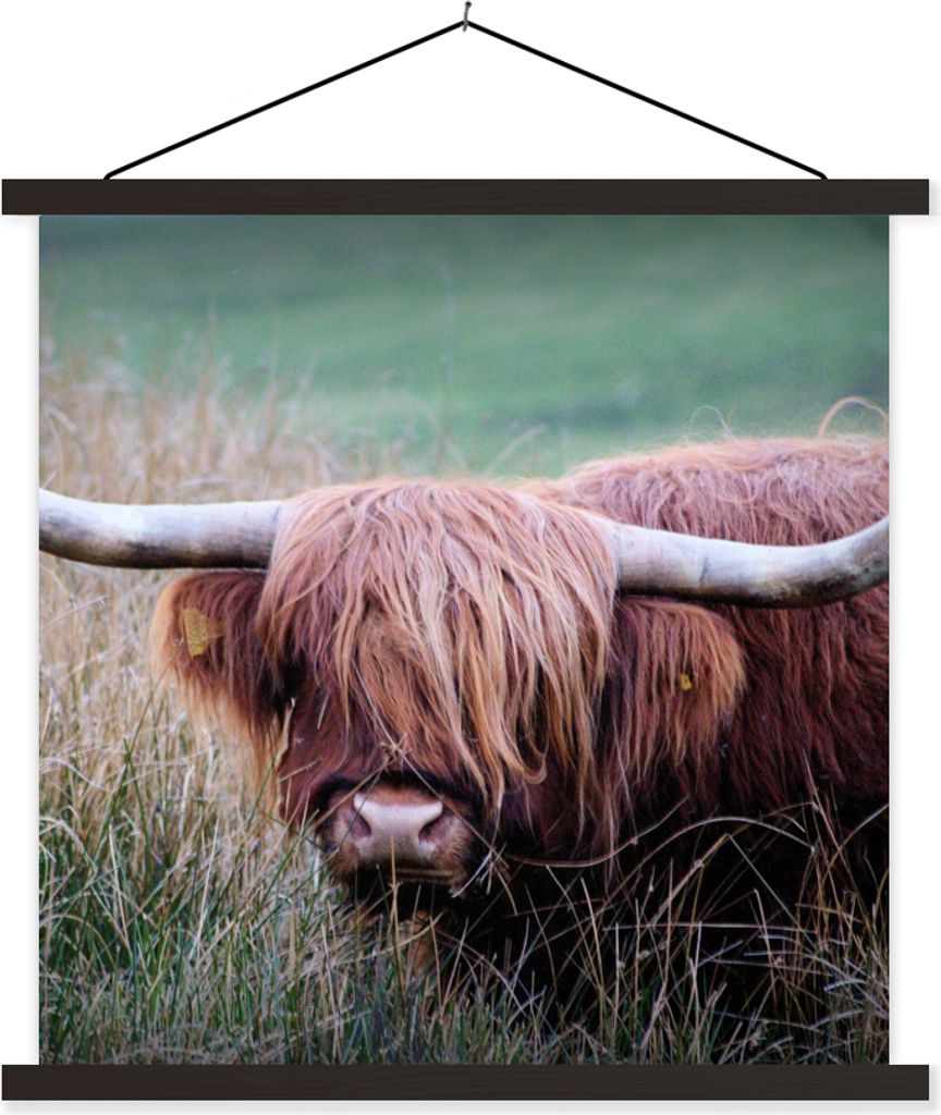 MuchoWow Textilposter Schottisches Hochlandrind - Hörner - Gras 90x90 cm mit schwarzem Rahmen - Magnetisches