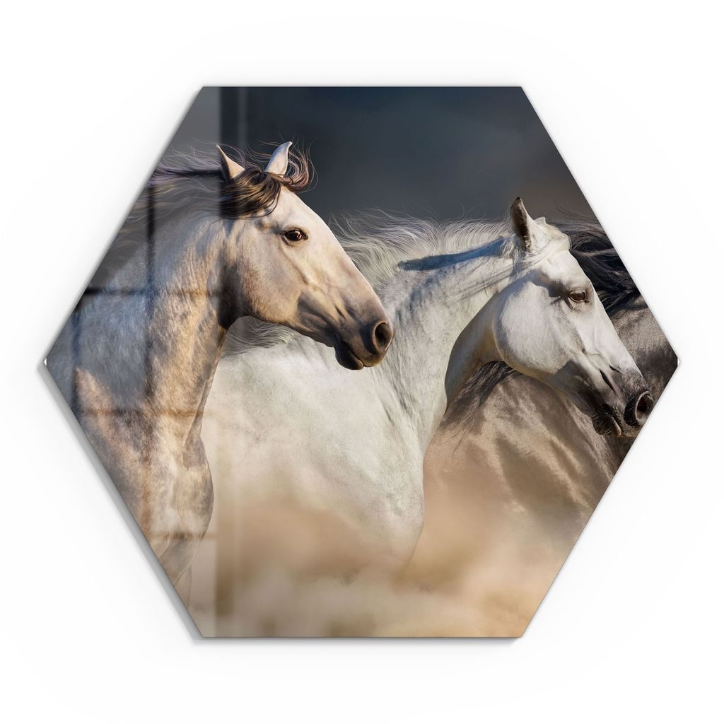 DEQORI Glasbild Echtglas 55x48 cm 'Pferde-Trio im Galopp' Wandbild Bild modern Deko