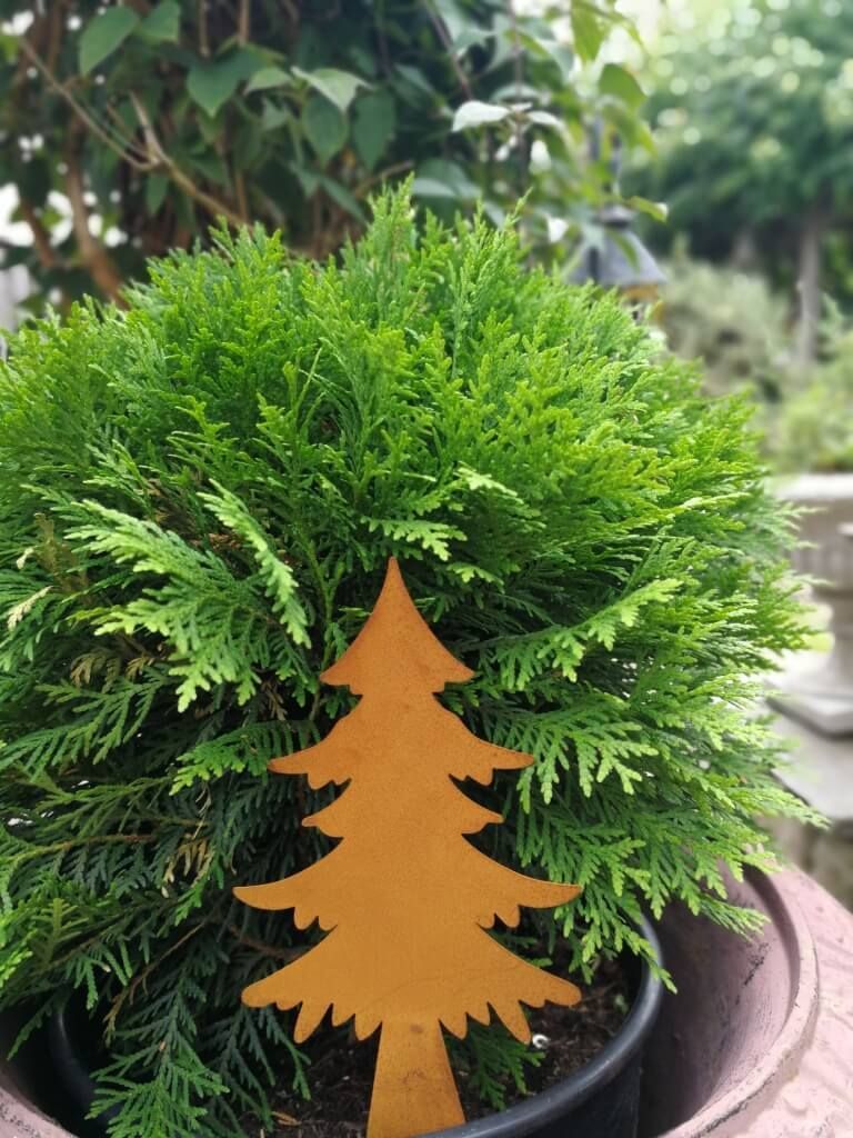 Edelrostoptik Topfstecker Tanne Juhani Topfstecker Tanne Juhani - 35 cm