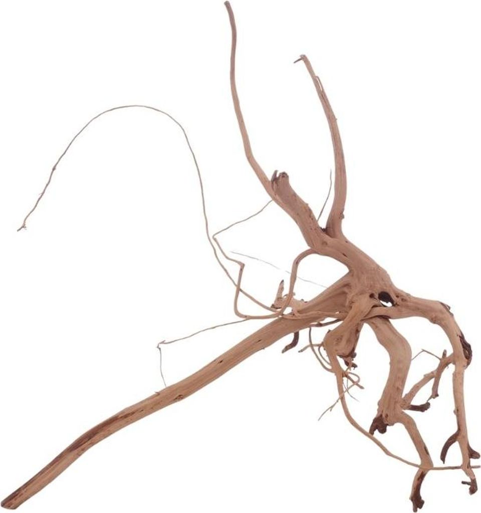 L Siennawurzel Nr.3284 Wurzel Holz Aquarium Deko Aquascaping
