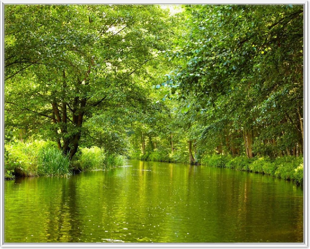 Wallario Wandbild Spreewald in Brandenburg grüne Wälder und Spiegelungen im Wasser, Größe: 40,30 x 50,30 cm, Poster mit weißem Aluminiumrahmen