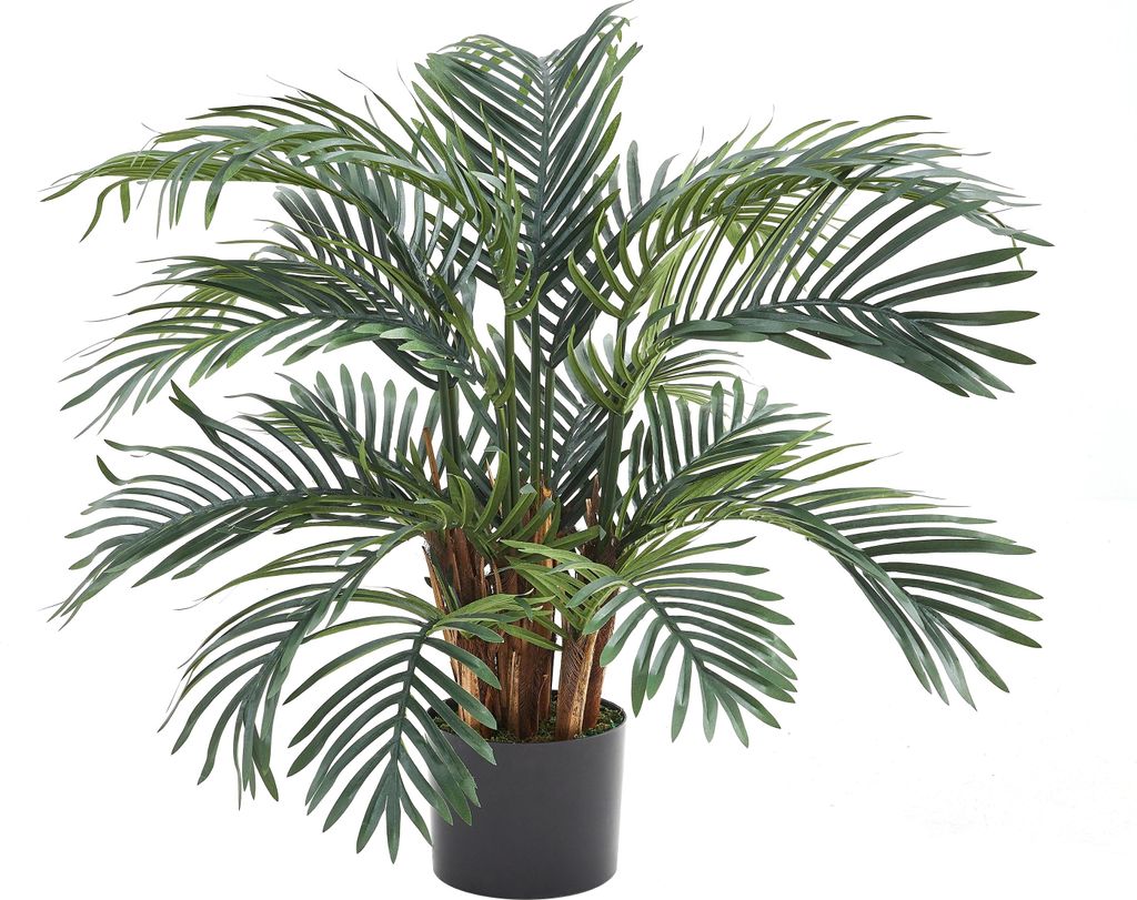aplanta Künstlicher Palmfarn – Alamea | 75 cm, für drinnen, Kunstpflanze, wie echt, Allergiker geeignet, pflanzliche Dekoration Praxis, Office ...