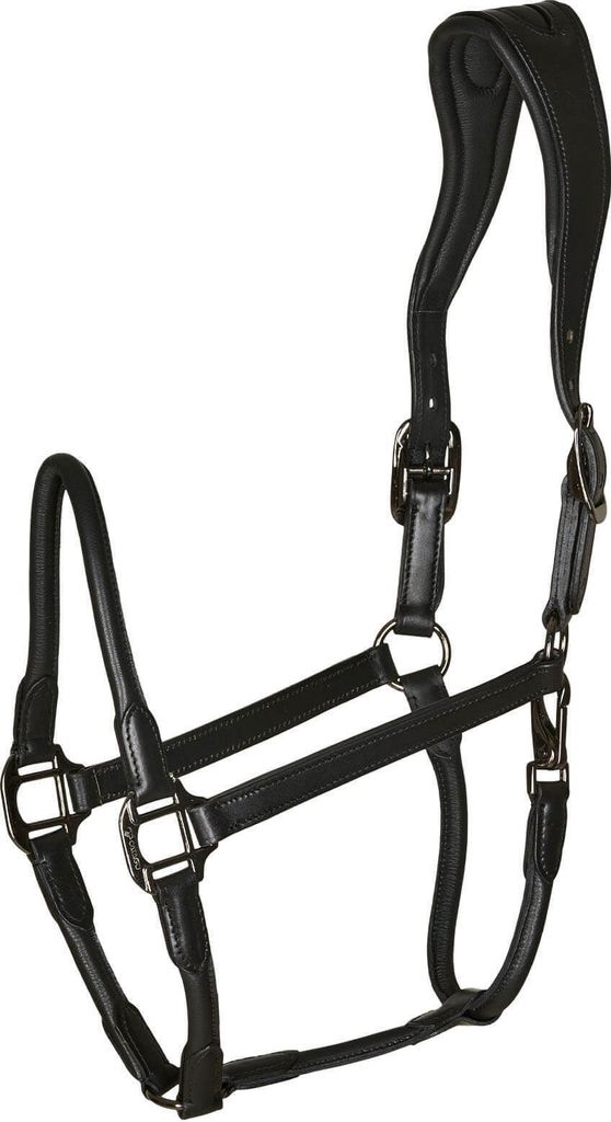 Catago Equestrian Lederhalfter Schwarz Full