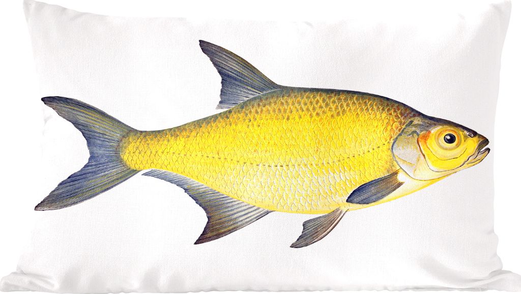 MuchoWow Zierkissen Sofakissen Wohnzimmer Dekokissen 50x30 cm Fische - Brassen - Realismus - Wohnzimmerdekoration - Polster mit Photo