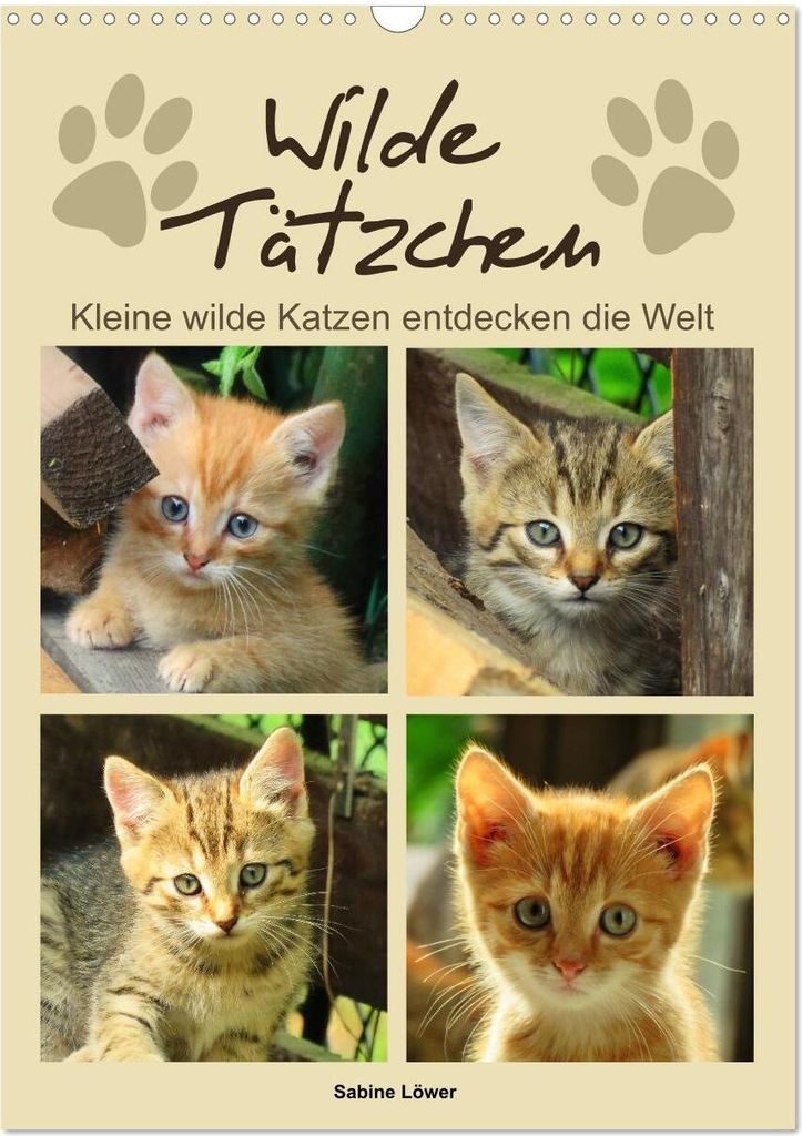 Wilde Tätzchen, kleine wilde Katzen entdecken die Welt (Wandkalender 2026 DIN A3 hoch), CALVENDO Monatskalender