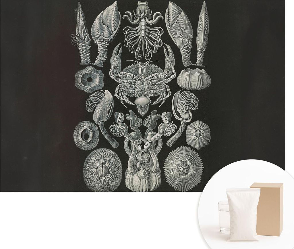 Fototapete - Wandbilder für Wohnzimmer - 104x70 cm - Dekorative Wandfolie - Modernes Design für Wanddekoration - Tapeten für Innenräume - Unter...