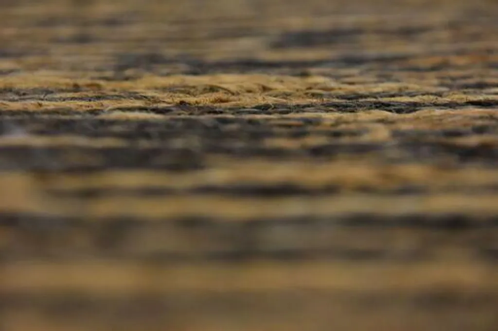 Tapis en Jute Naturel et Noir 120x180 cm - Style Bohème Chic Durable - 4
