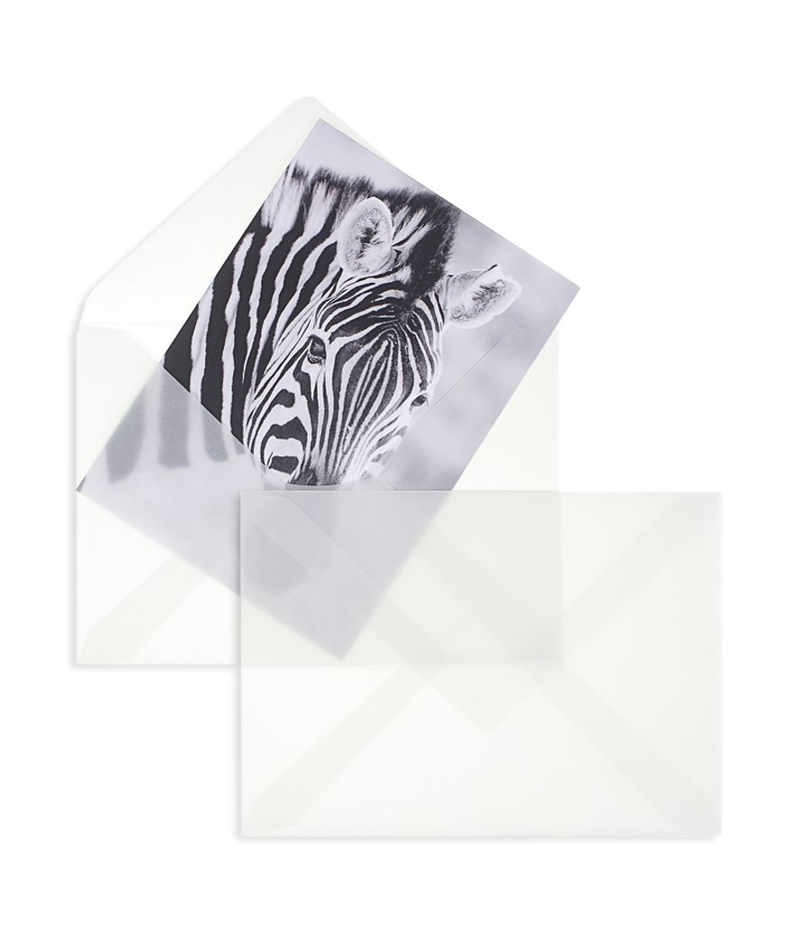 100 Transparente Briefumschläge 120x180 mm mit Nassklebung