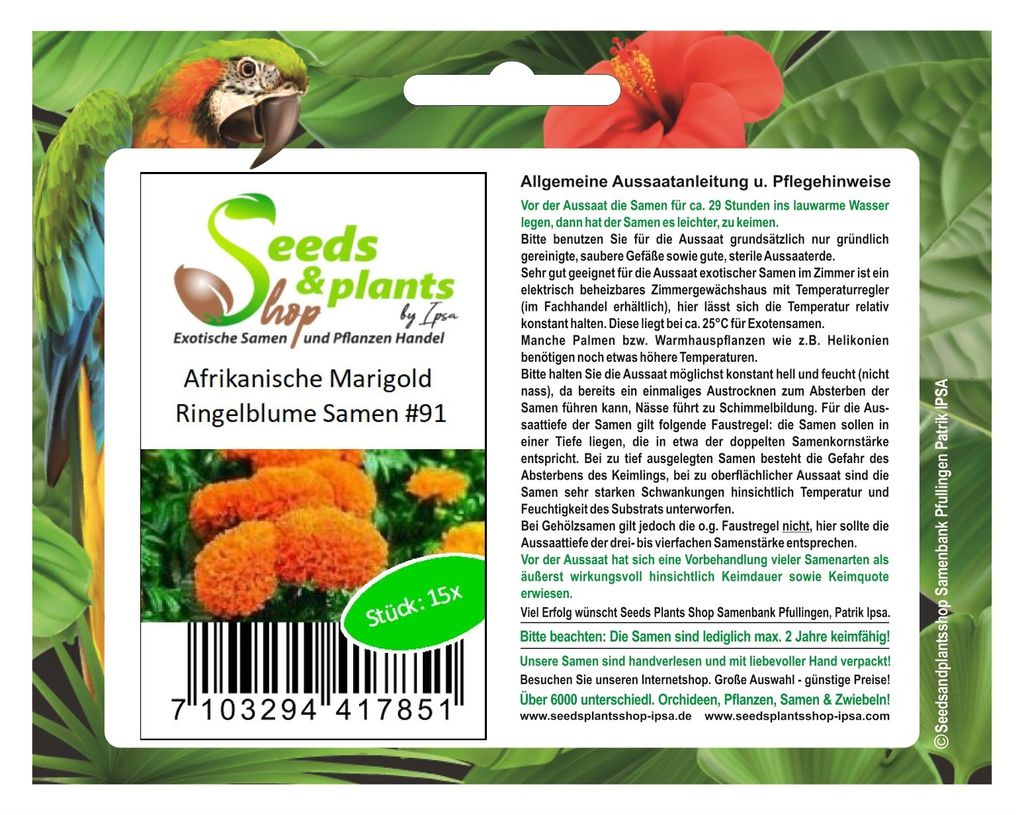 15x Afrikanische Marigold Ringelblume Pflanzen - Samen #91