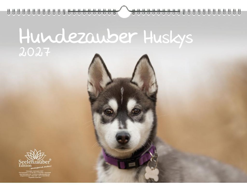 Huskyzauber DIN A3 Kalender für 2027 Welpen und Hunde - Seelenzauber