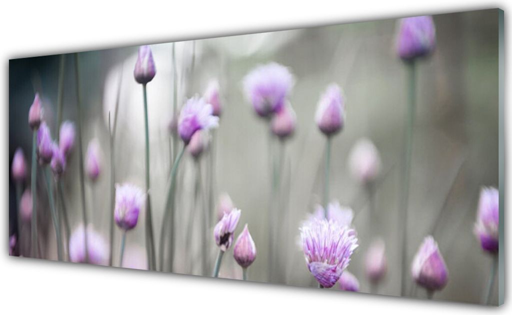 Acrylglasbilder 125x50 Wandbild Druck Blumen Pflanzen