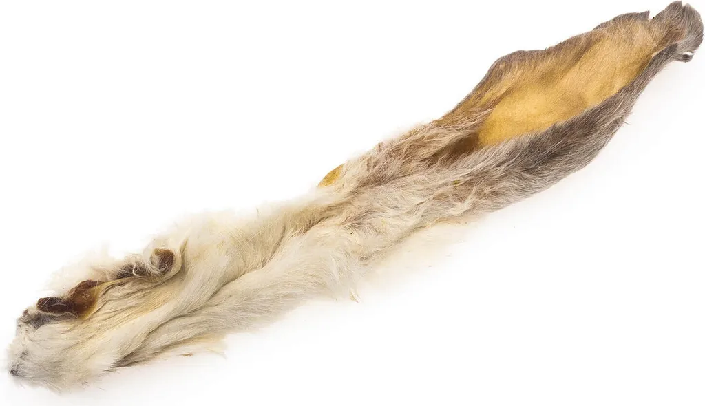 4DOGS Orecchie di Coniglio con Pelo 10pz | Masticativo Ipoallergenico - 2
