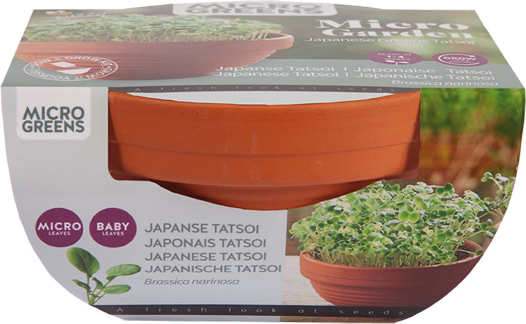 Keimsprossen Anzuchtset Asiasalat Tatsoi | Keimsprossen von Buzzy Seeds