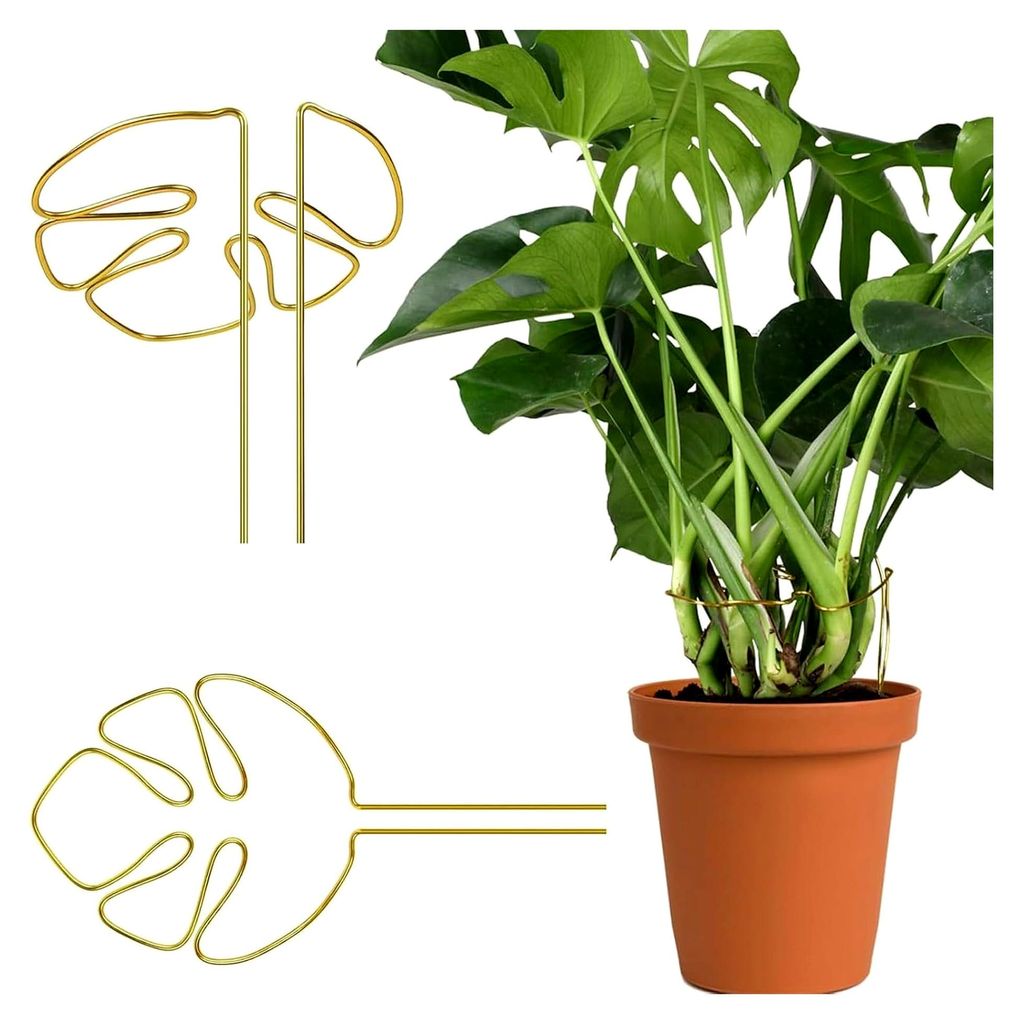 2 Stück Pflanzenstütze, Rankhilfe für Monstera, Metall-Pflanzenstab für kletternde Zimmerpflanzen, multifunktionale Pflanzenständer für Innen...