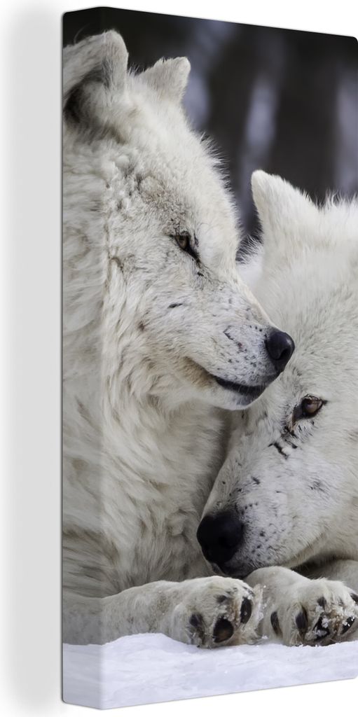 MuchoWow - Leinwandbilder - Wölfe - Schnee - Familie, Wandbild, Wanddeko Bilder Wohnzimmer, 40x80 cm