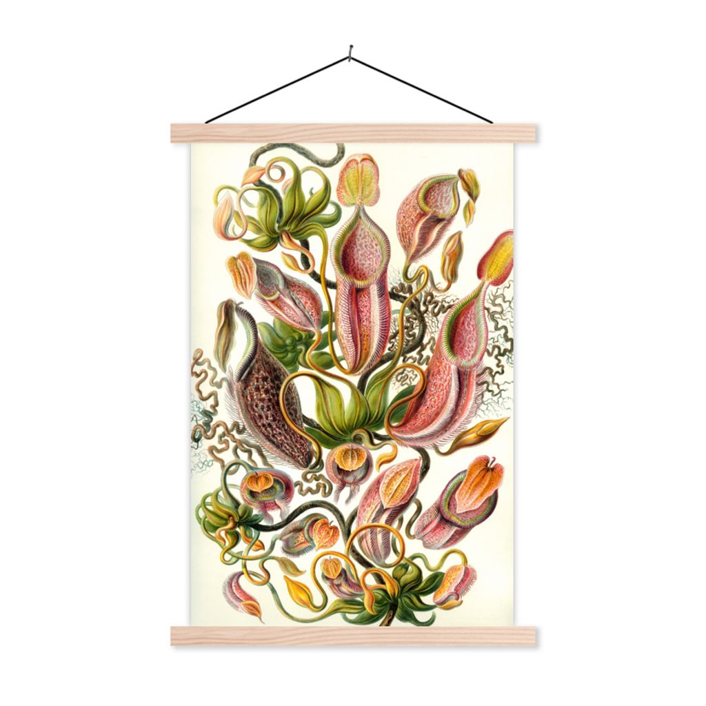 MuchoWow Textilposter Design - Botanisch - Fleischfressende Pflanze - Ernst Haeckel 40x60 cm mit holzfarbenen Rahmen - Poster