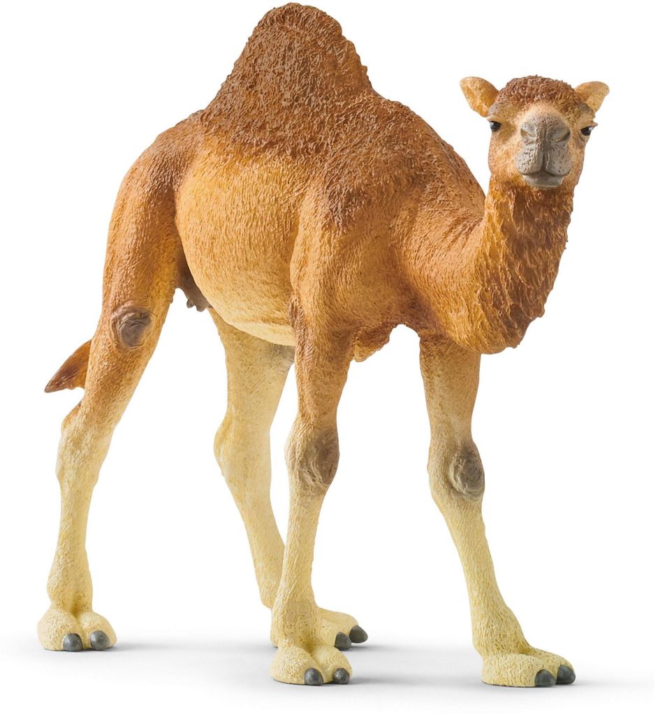 schleich WILD LIFE 14832, 3 Jahr(e), Safari, Wild animals / Produktbild 