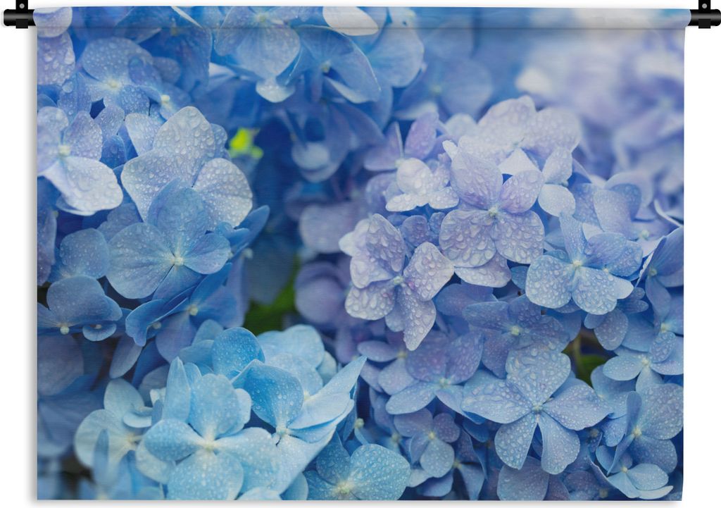 MuchoWow Wandteppich Wandbehang Hortensie - Wassertropfen - Floral - Botanisch - Blau 120x90 cm Tapisserie Dekoration Wandtuch - Wohnen - Aufhän...