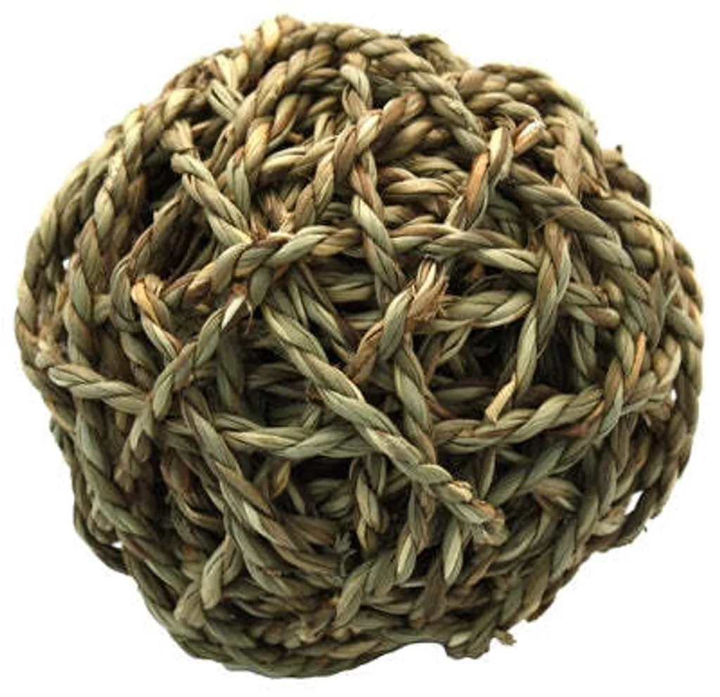 Boule d'Herbe pour Chat d'Appartement - Stimule le Jeu et la Digestion