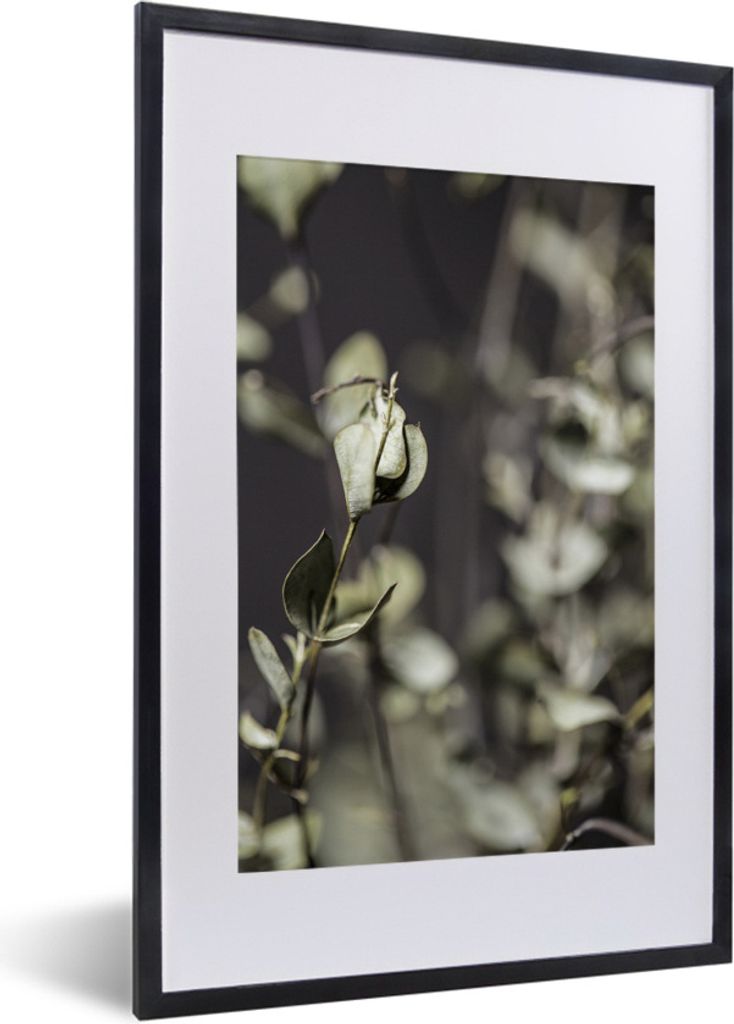 MuchoWow Gerahmtes Poster Getrocknete Eukalyptuszweige 40x60 cm - Poster mit Schwarzem Bilderrahmen Wandposter Rahmen Foto Bilder - Poster in Rahmen