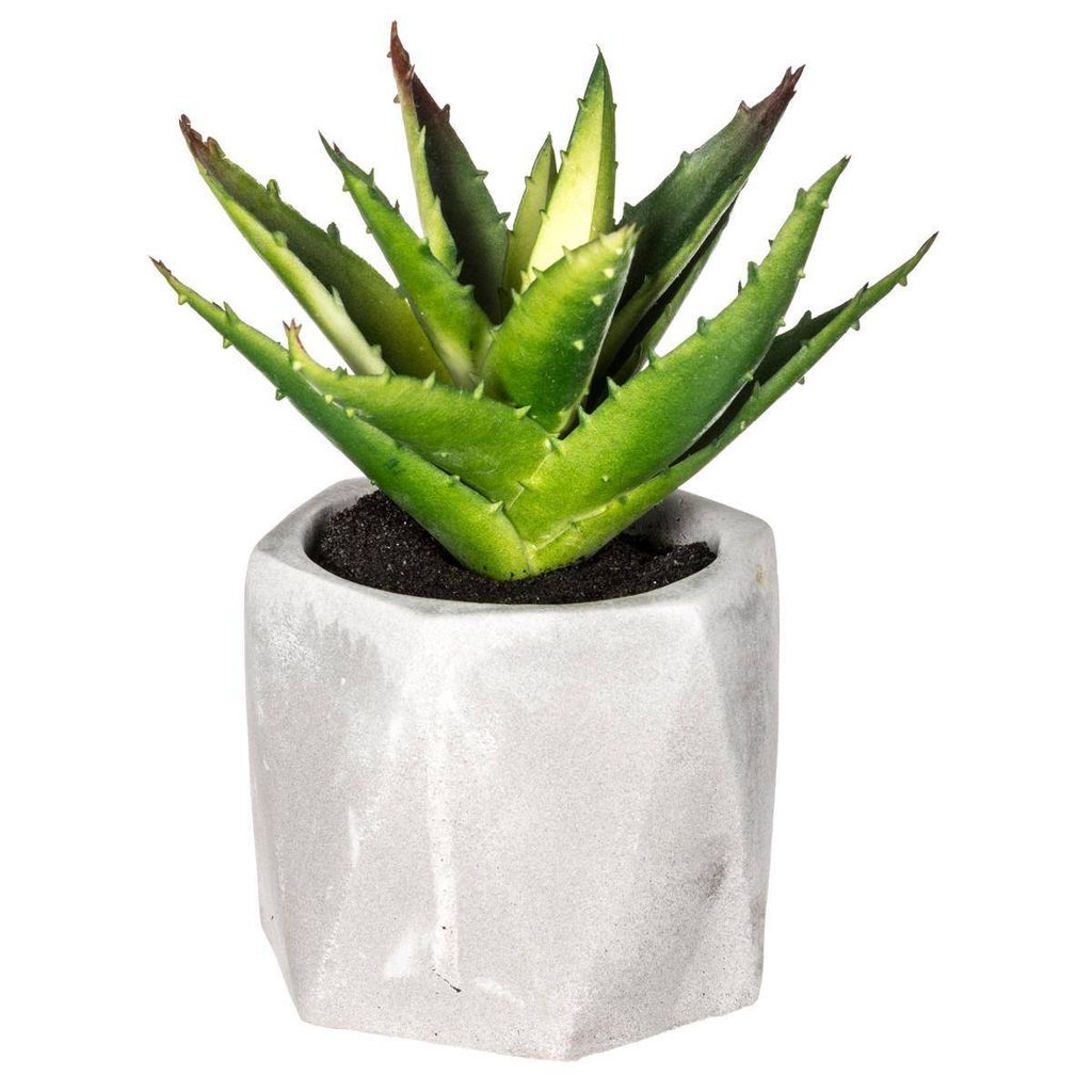 Künstliche fettpflanze zementtopf h14cm - Atmosphera créateur d'intérieur