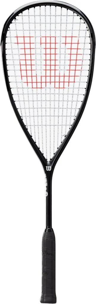 Raquette Wilson Pro Staff Team parfaite pour le jeu d'attaque en club