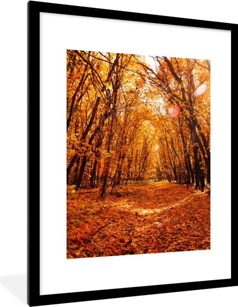 MuchoWow Gerahmtes Poster Herbst - Wald - Laub - Jahreszeiten 60x80 cm - Poster mit Schwarzem Bilderrahmen Wandposter Rahmen Foto Bilder - Wohnzi...