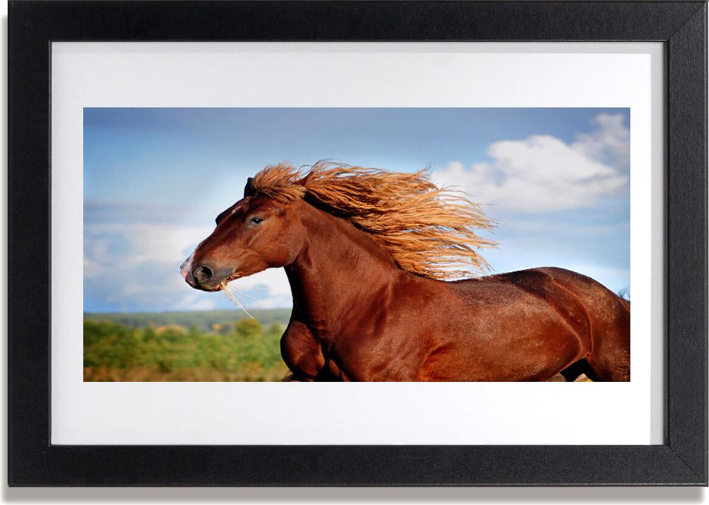 Bild 30x20 MDF-Rahmen Wandkunst Pferd Tiere