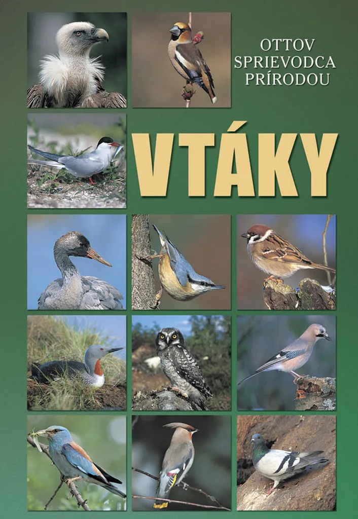 Livre d'ornithologie Vtáky illustré avec fiches détaillées Singer