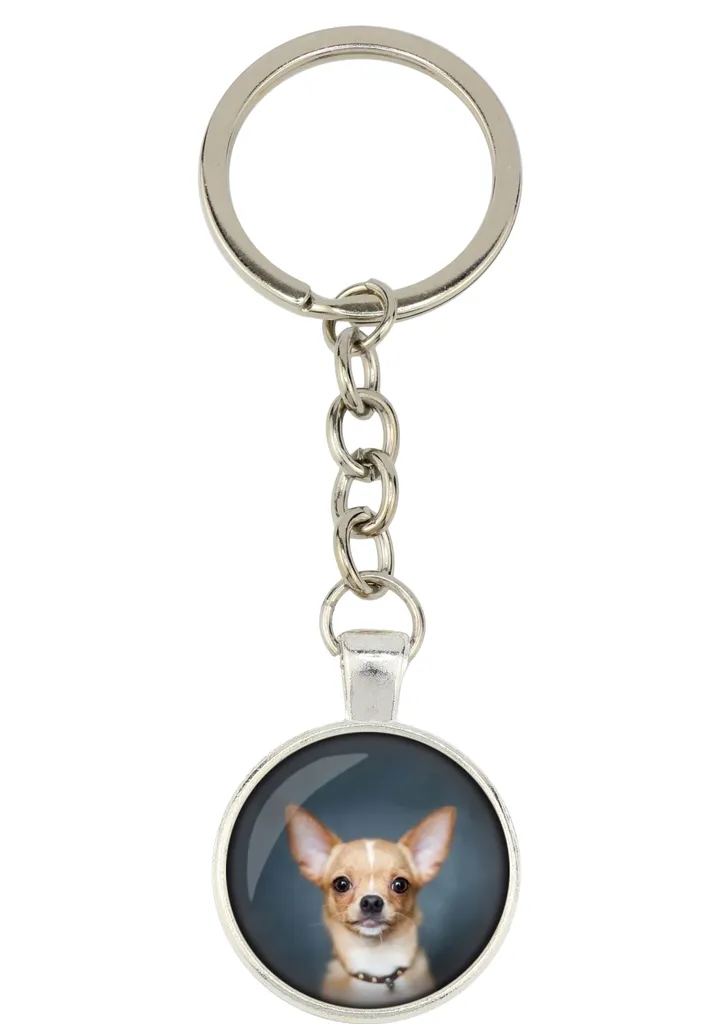 Portachiavi In Acciaio Inox Con Bassotto E Scritta 'Never Underestimate A Woman With A Dachshund'