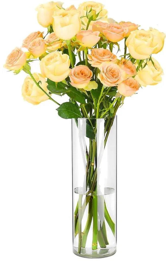Vase décoratif pour fleurs et salon, format cylindrique acrylique 25cm