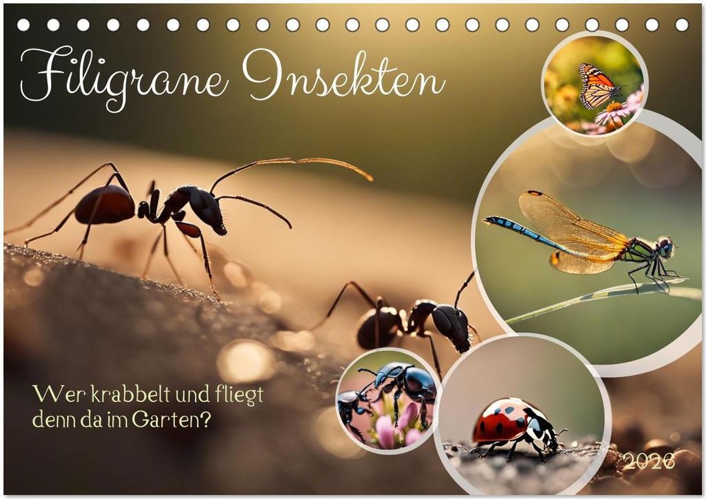 Filigrane Insekten (Tischkalender 2026 DIN A5 quer), CALVENDO Monatskalender