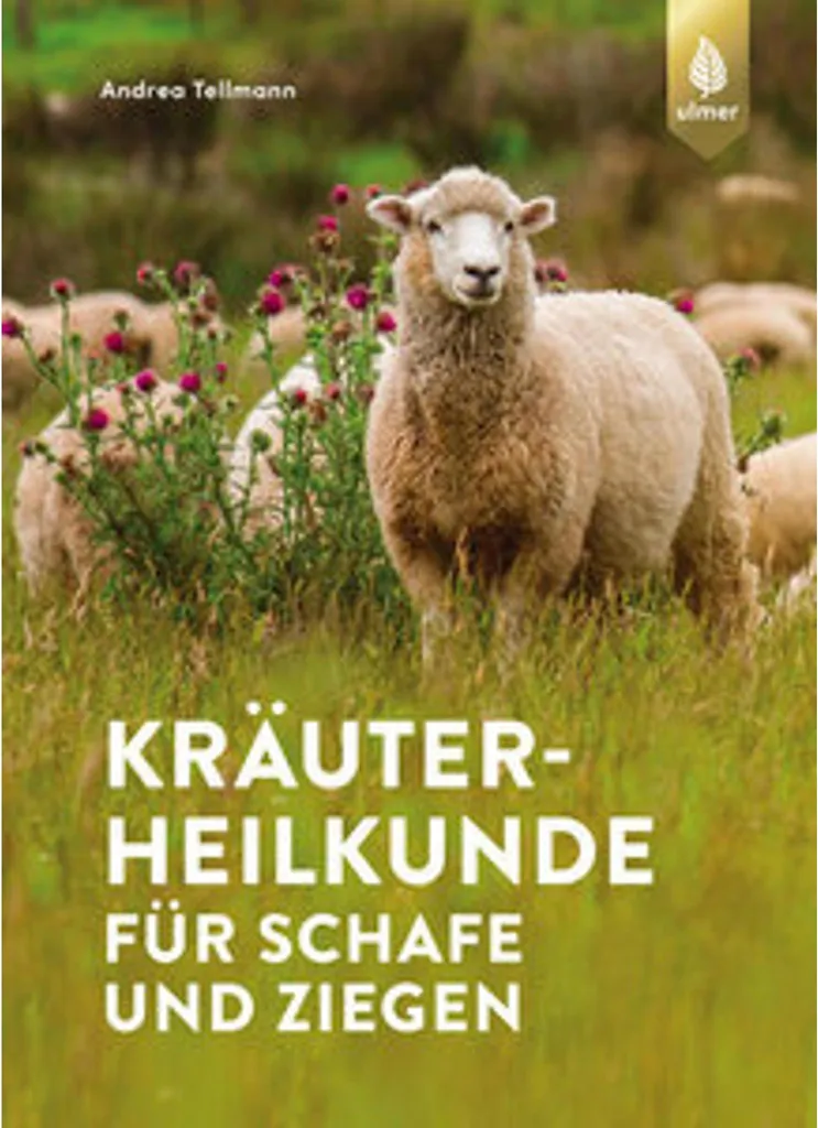 Soigner les moutons par les plantes : guide Kräuterheilkunde complet