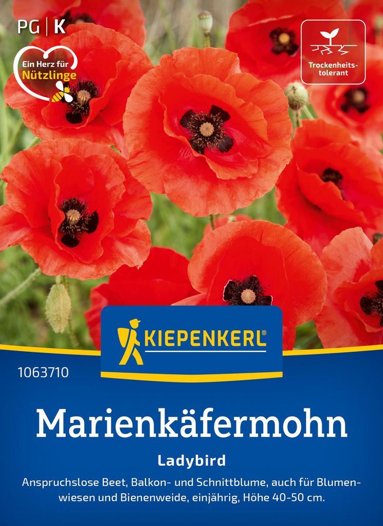 Artikelbild 2 von 'Marienkäfermohn Ladybird' aus der Kategorie Mohnsamen