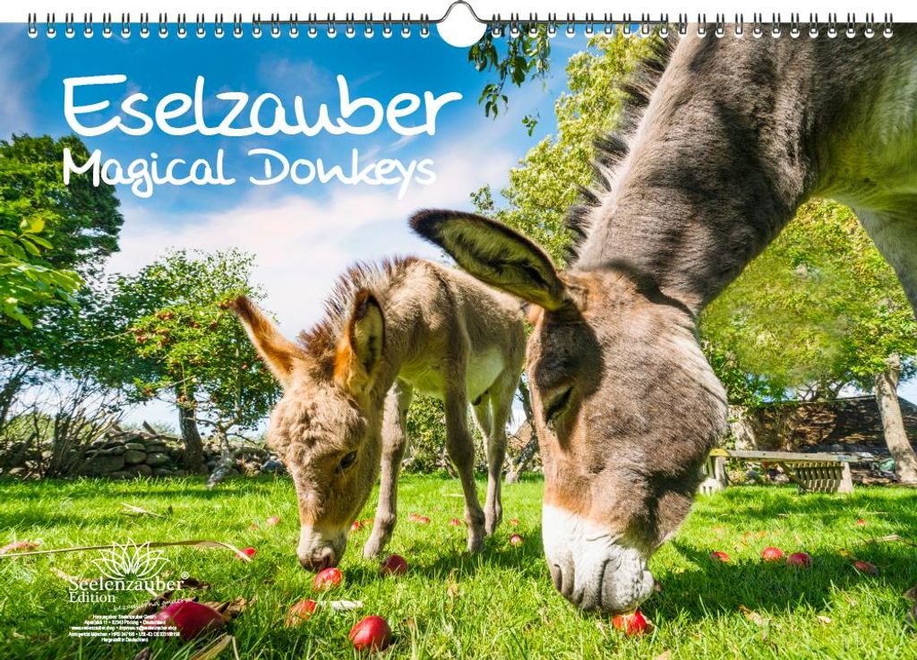 Eselzauber DIN A3 Immerwährender Kalender Esel - Seelenzauber